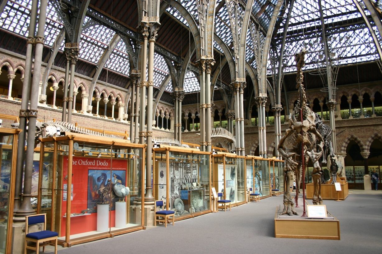 Oxford University Museum of Natural History, Oxford, UK - 07.JPG