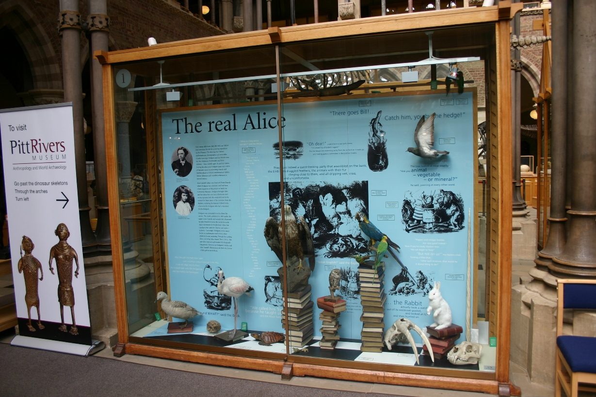 Oxford University Museum of Natural History, Oxford, UK - 09.JPG