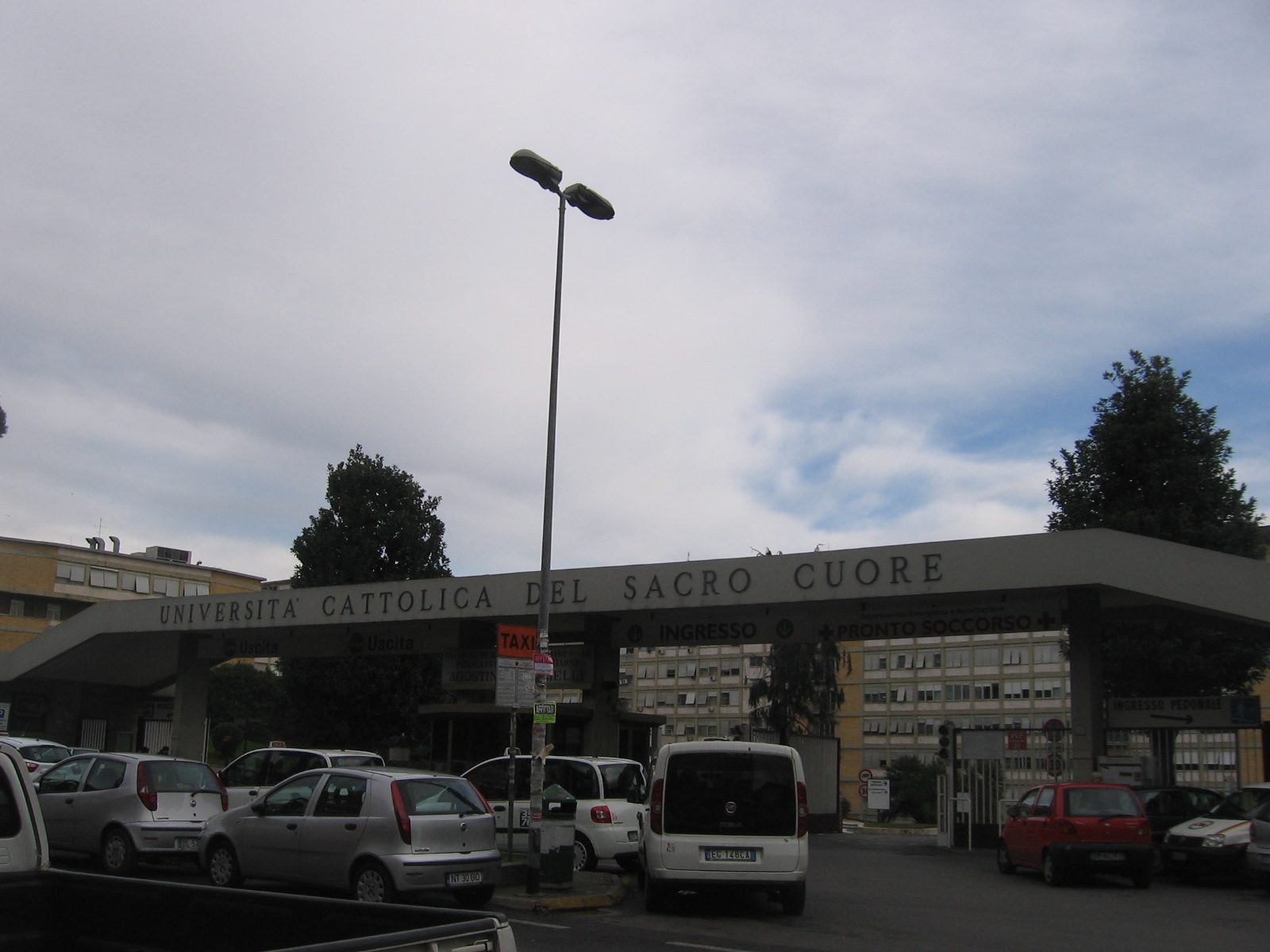 IMG_6964.JPG