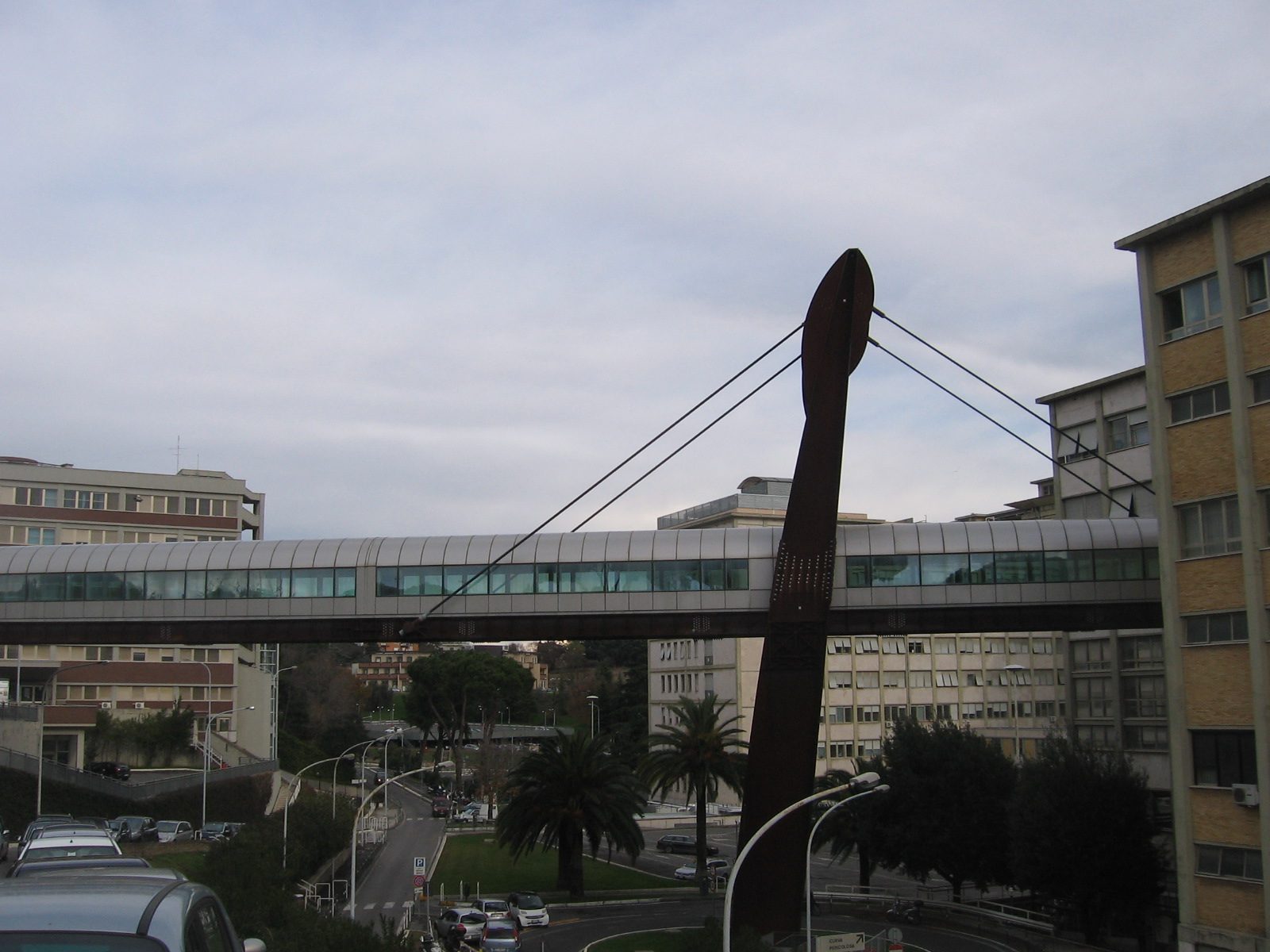 IMG_6975.JPG