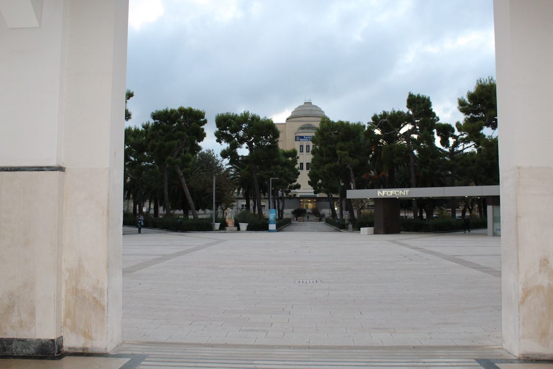immagine%208.jpg