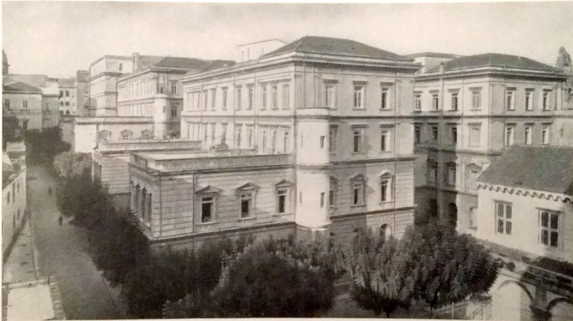 Primo Policlinico 11.png