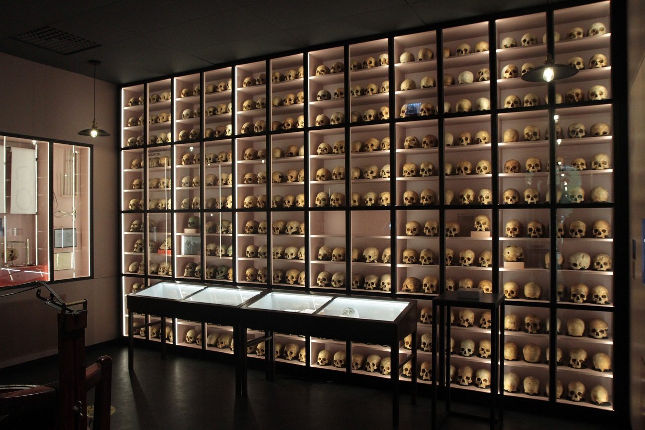 RSU_Anatomy_Museum_Riga_Latvia_6.JPG