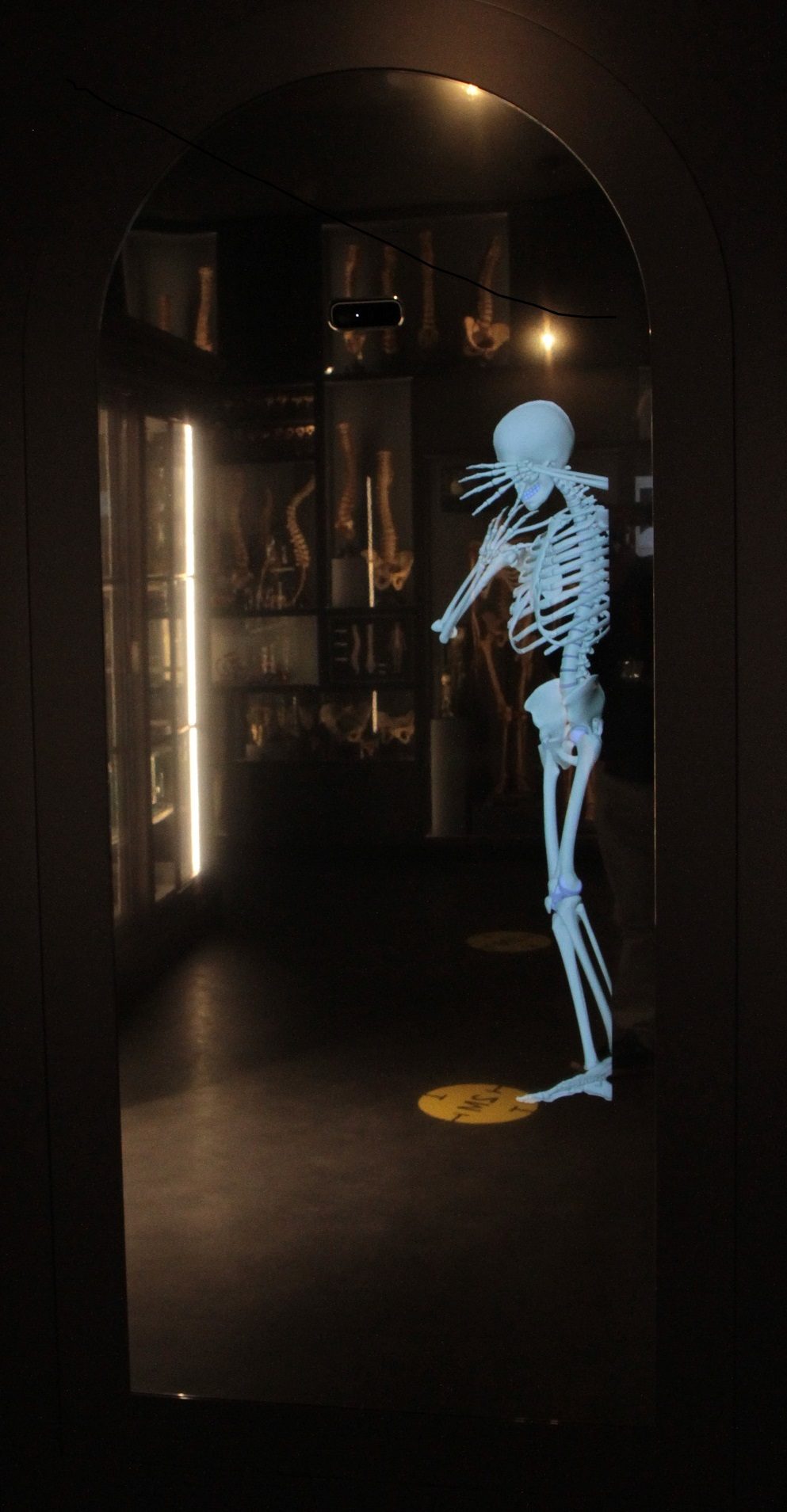 RSU_Anatomy_Museum_Riga_Latvia_7.JPG