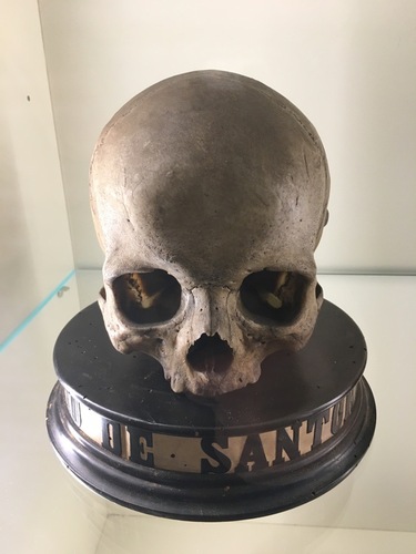 Sanctorius Sanctorius's cranium, Padua.jpg