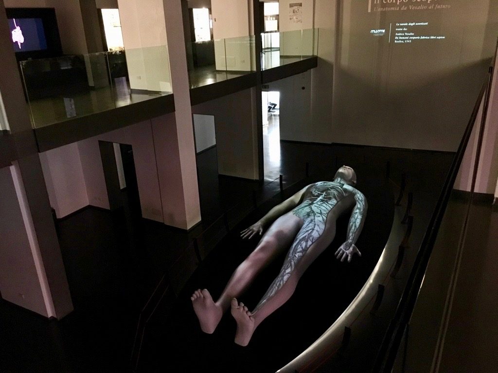 Teatro%20Anatomico%20Vesaliano%20%283%29.jpg