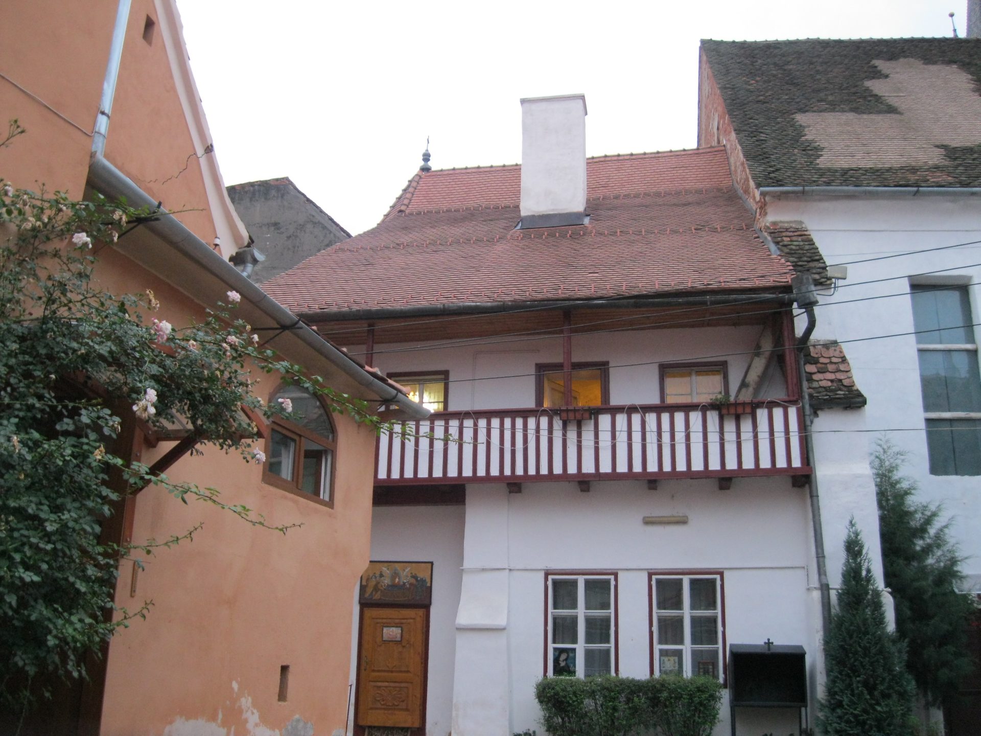 IMG_8145.JPG