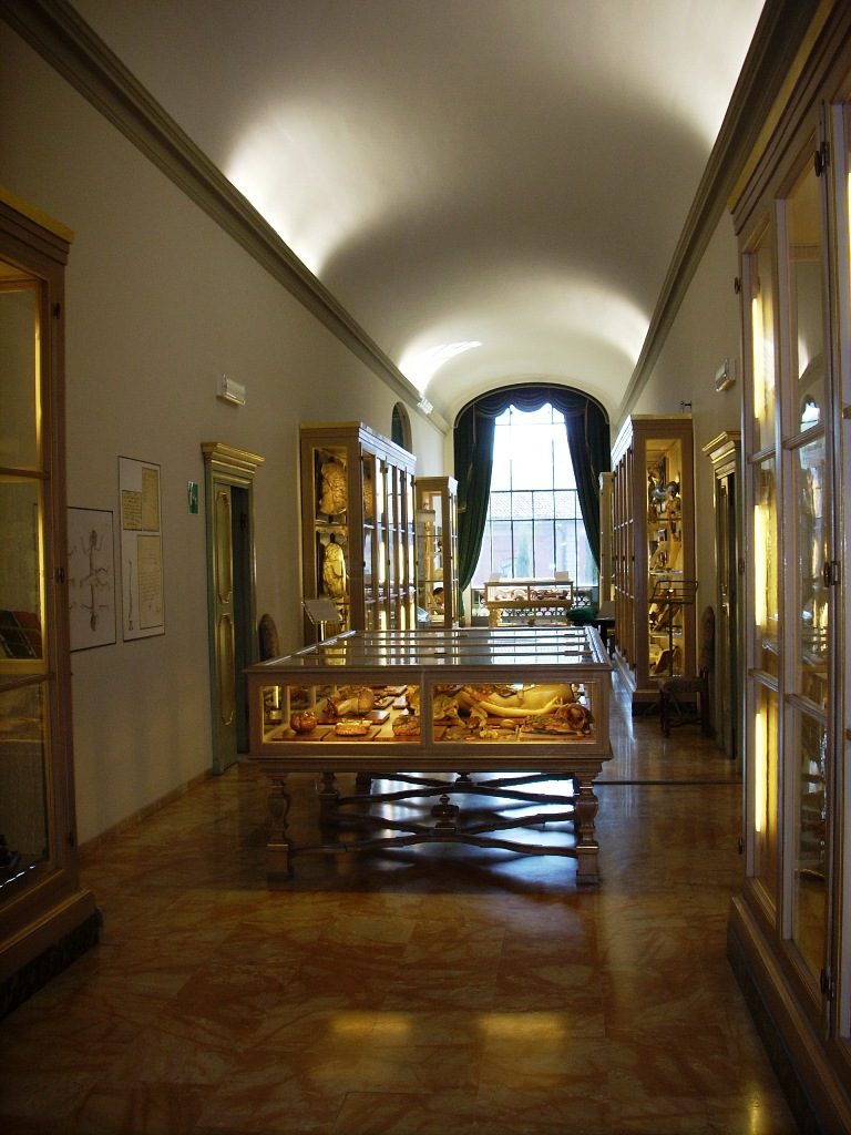 Anatomical%20Wax%20Museum%2C%20Bologna%20-%2001.jpg