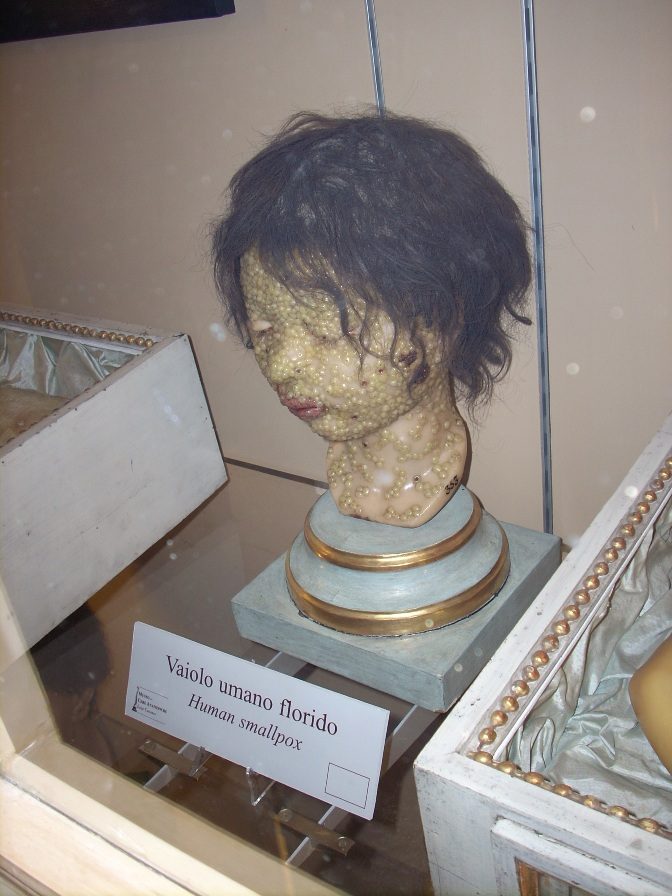 Anatomical%20Wax%20Museum%2C%20Bologna%20-%2007.jpg