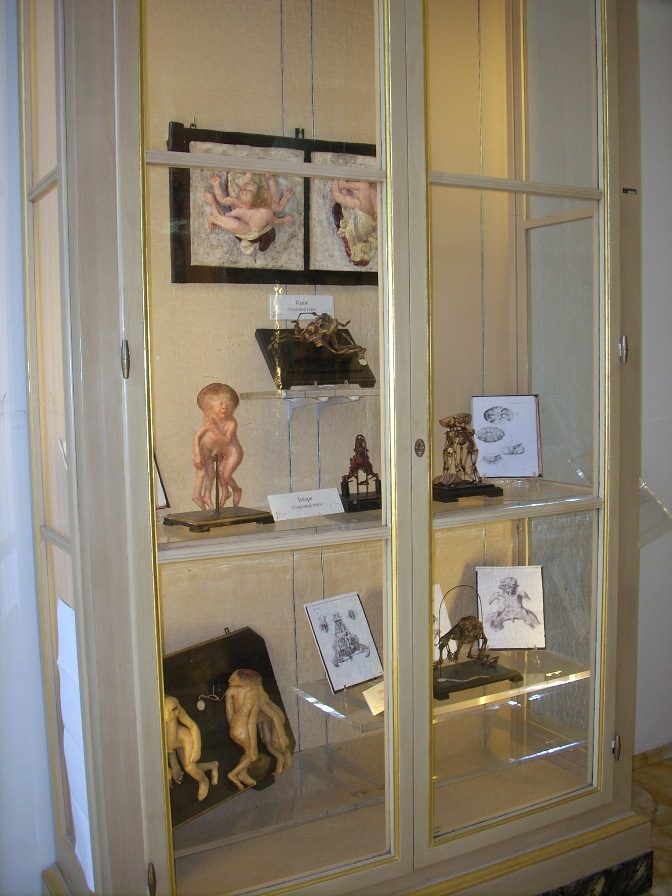 Anatomical%20Wax%20Museum%2C%20Bologna%20-%2009.jpg