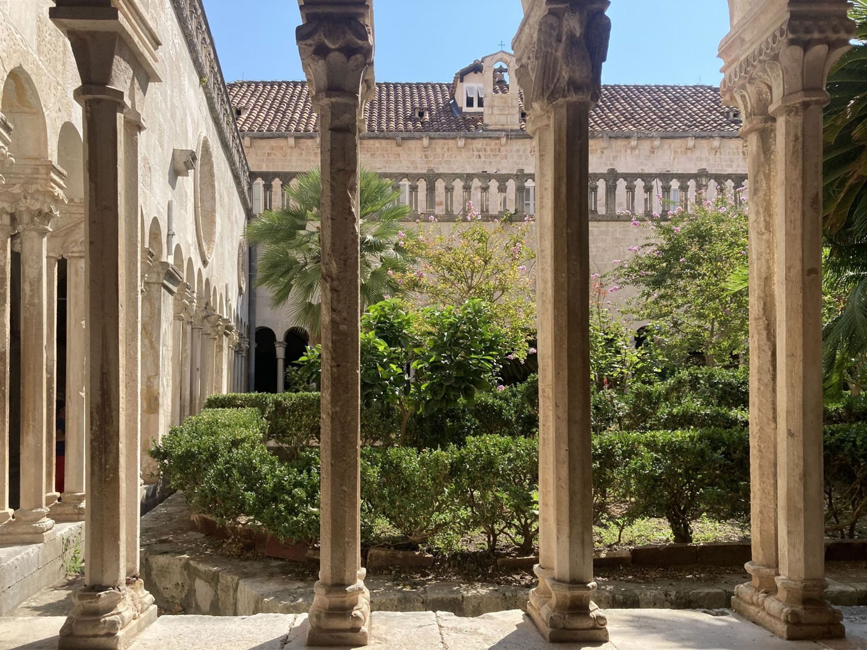 garden.jpg