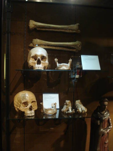 The Science And Art Of Medicine Gallery