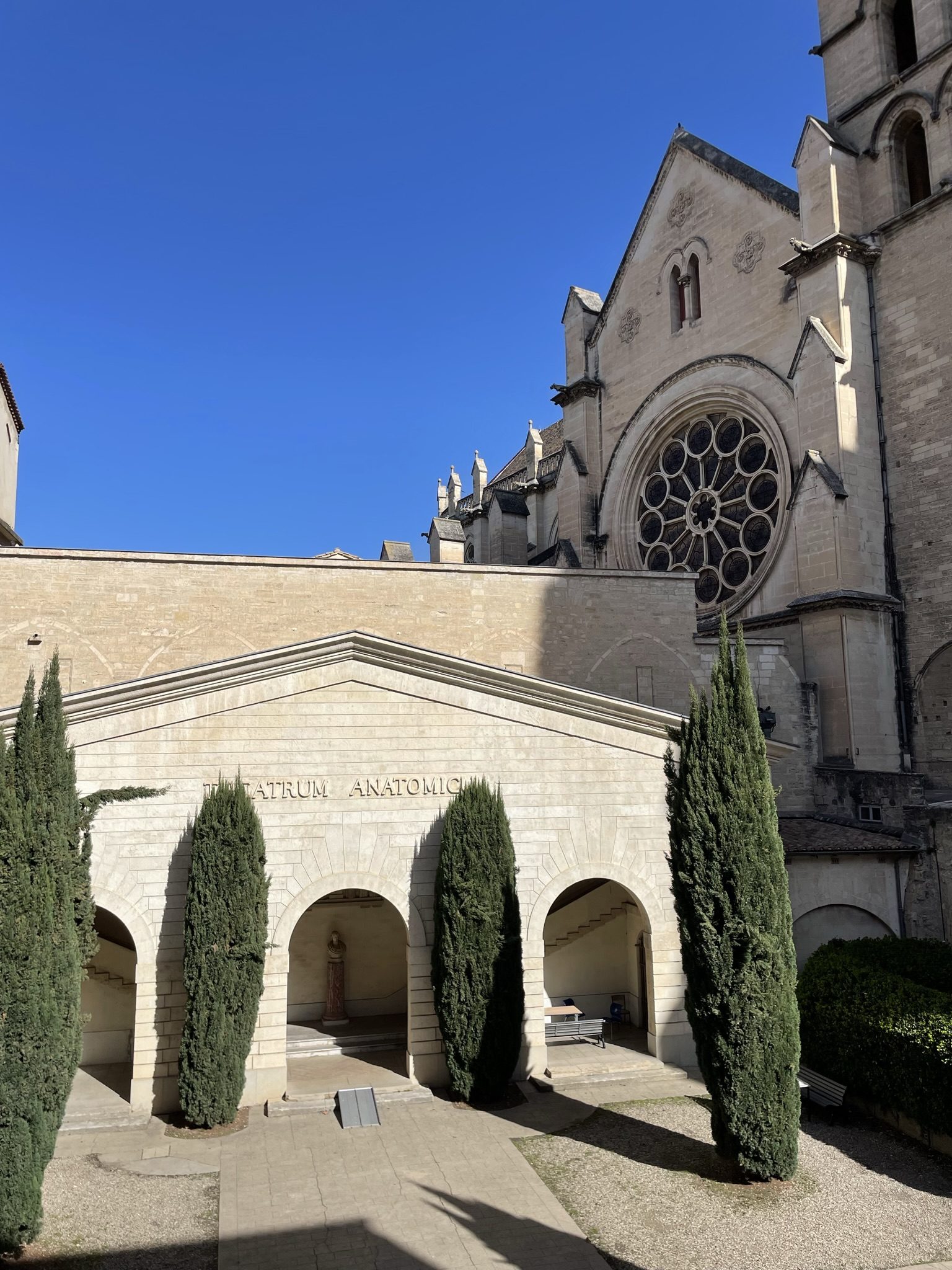 Theatrum Anatomicum, Montpellier (by Andrea Angelucci) - 02.JPEG